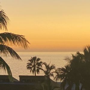 Meet your Posher, Dustin